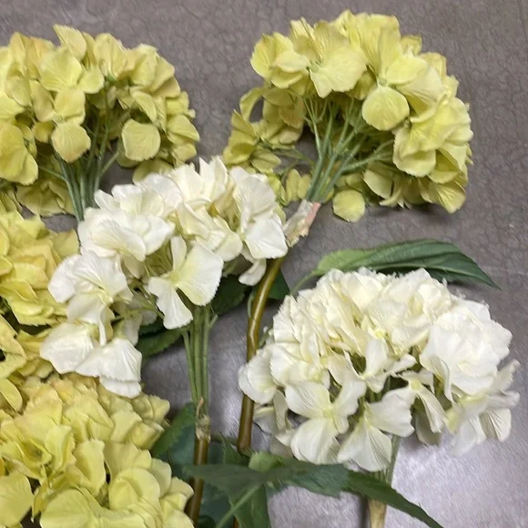 Hydrangeas, 4 in green yellow and 2 in a light yellow - Picture 2 of 6